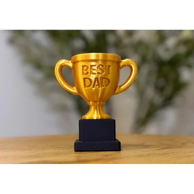 Figura Decorativa Prints Patro- Trofeo Best Dad 5