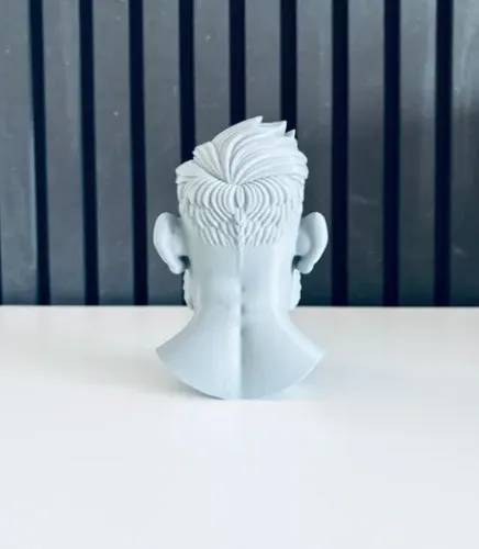 Escultura Decorativa Prints Patro- Busto Conor Mcgregor - Foto 3