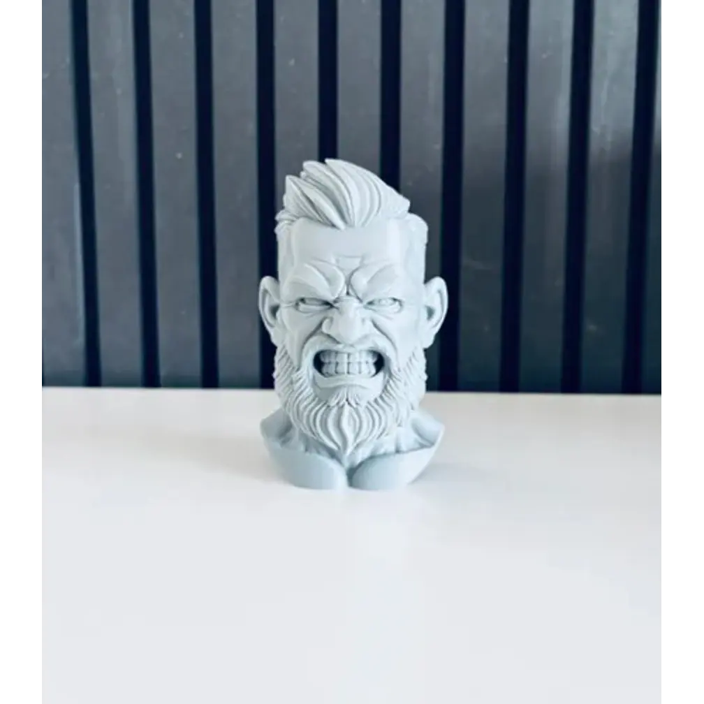 Escultura Decorativa Prints Patro- Busto Conor Mcgregor 4