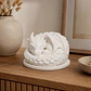 Escultura Decorativa Prints Patro- Dragón Durmiente - Miniatura 4