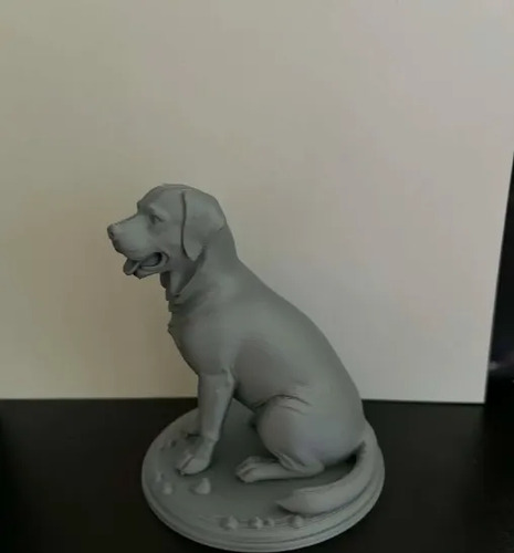 Escultura Decorativa Prints Patro- Labrador Realista - Foto 3