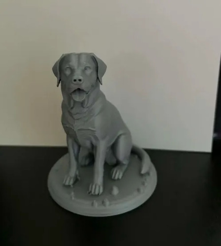 Escultura Decorativa Prints Patro- Labrador Realista - Foto 4