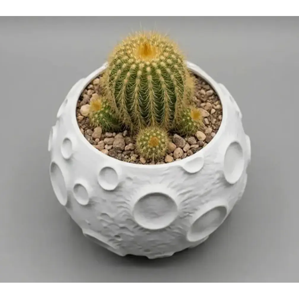 Macetero Prints Patro- Superficie Lunar 4