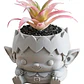 Macetero Decorativo Prints Patro- Elfo Feliz - Miniatura 1