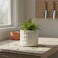 Decoración Prints Patro - Macetero Estilo Cuerda Trenzada - Miniatura 3
