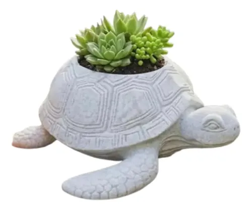 Macetero Decorativo Prints Patro- Tortuga Marina