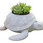Macetero Decorativo Prints Patro- Tortuga Marina - Miniatura 1