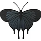 Figura Decorativa De Pared Prints Patro- Mariposa Negra - Miniatura 1
