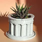 Macetero Decorativo Prints Patro- Templos Griegos - Miniatura 2