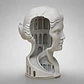 Escultura Elegante Prints Patro - Busto Con Palacio Oculto - Miniatura 2