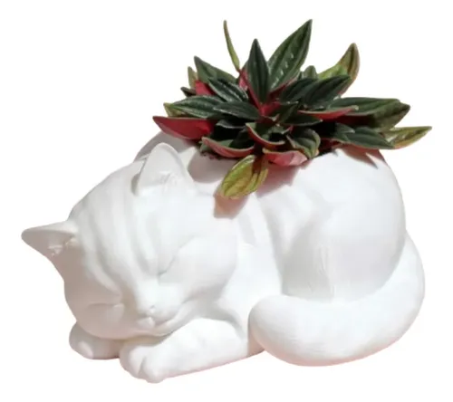 Macetero Decorativo Prints Patro-  Gato Durmiente
