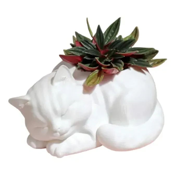 Macetero Decorativo Prints Patro-  Gato Durmiente 1
