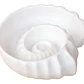 Bandeja Decorativa Prints Patro- Concha Espiral - Miniatura 1