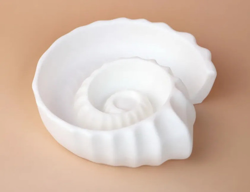 Bandeja Decorativa Prints Patro- Concha Espiral - Foto 4