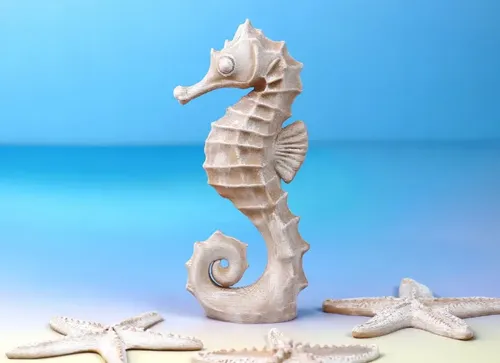 Figura Decorativa Prints Patro- Caballito De Mar - Foto 2