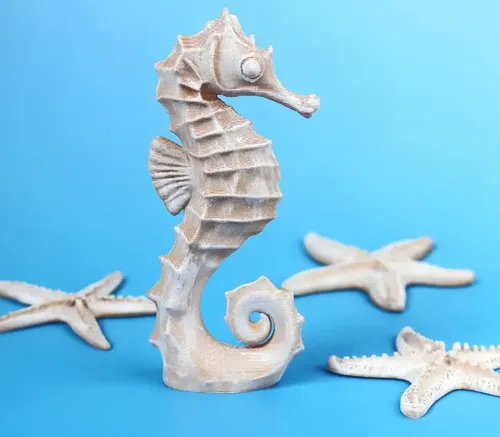 Figura Decorativa Prints Patro- Caballito De Mar - Foto 3