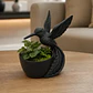 Maceteros Decorativos Hogar- Colibrís 15 Cm - Miniatura 3