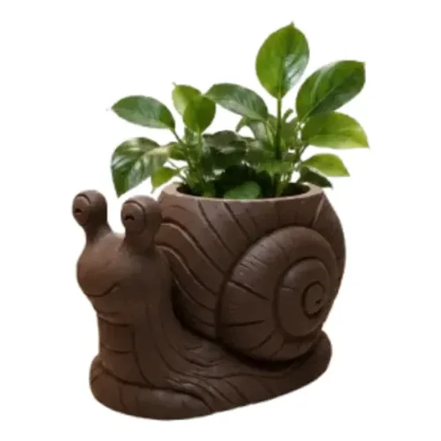 Macetero Decorativo Hogar- Forma Caracol 9 Cm