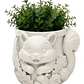 Macetero Decorativo Hogar- Forma Ardilla Tierna 8 Cm - Miniatura 1