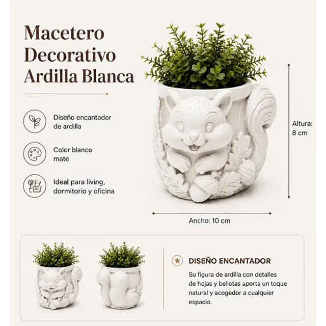 Macetero Decorativo Hogar- Forma Ardilla Tierna 8 Cm
