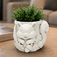 Macetero Decorativo Hogar- Forma Ardilla Tierna 8 Cm - Miniatura 4