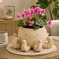 Macetero Decorativo Hogar- Forma Pulpo 22 Cm - Miniatura 5