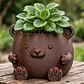 Macetero Decorativo Hogar- Forma Osito 16 Cm - Miniatura 4