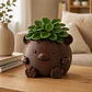 Macetero Decorativo Hogar- Forma Osito 16 Cm - Miniatura 6