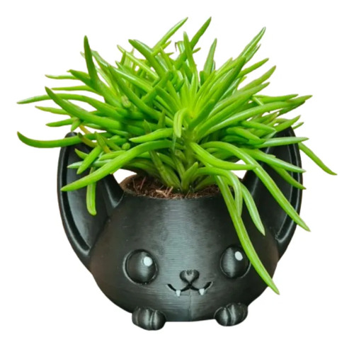 Macetero Decorativo Hogar- Forma Murciélago 7 Cm