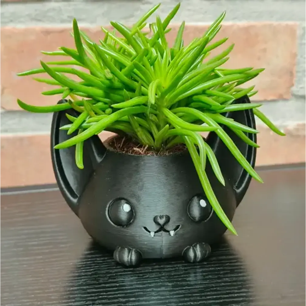 Macetero Decorativo Hogar- Forma Murciélago 7 Cm 3