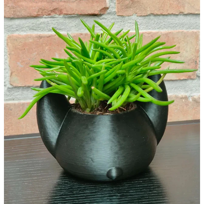 Macetero Decorativo Hogar- Forma Murciélago 7 Cm 4