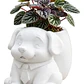 Macetero Decorativo Hogar- Perrito Oficinista 20 Cm - Miniatura 1