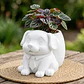 Macetero Decorativo Hogar- Perrito Oficinista 20 Cm - Miniatura 4