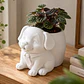 Macetero Decorativo Hogar- Perrito Oficinista 20 Cm - Miniatura 5