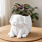 Macetero Decorativo Hogar- Perrito Oficinista 20 Cm - Miniatura 6