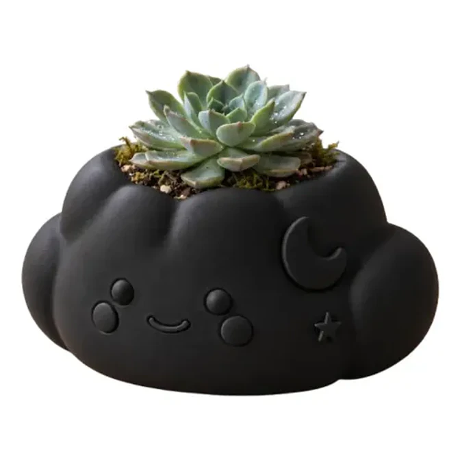 Macetero Decorativo Hogar- Forma Nube 10 Cm 1