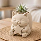 Macetero Decorativo Hogar- Gatito Estrella 15 Cm - Miniatura 5