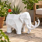 Macetero Decorativo Hogar- Forma Mamut 15 Cm - Miniatura 6