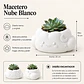Macetero Decorativo Hogar- Forma Nube 10 Cm - Miniatura 2