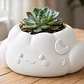 Macetero Decorativo Hogar- Forma Nube 10 Cm - Miniatura 3