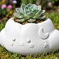 Macetero Decorativo Hogar- Forma Nube 10 Cm - Miniatura 6