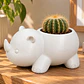 Macetero Decorativo Hogar- Rinoceronte 8 Cm - Miniatura 4