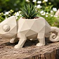 Macetero Decorativo Hogar- Camaleón 14 Cm - Miniatura 6