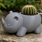 Macetero Decorativo Hogar- Rinoceronte 8 Cm - Miniatura 4