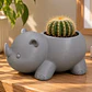 Macetero Decorativo Hogar- Rinoceronte 8 Cm - Miniatura 6