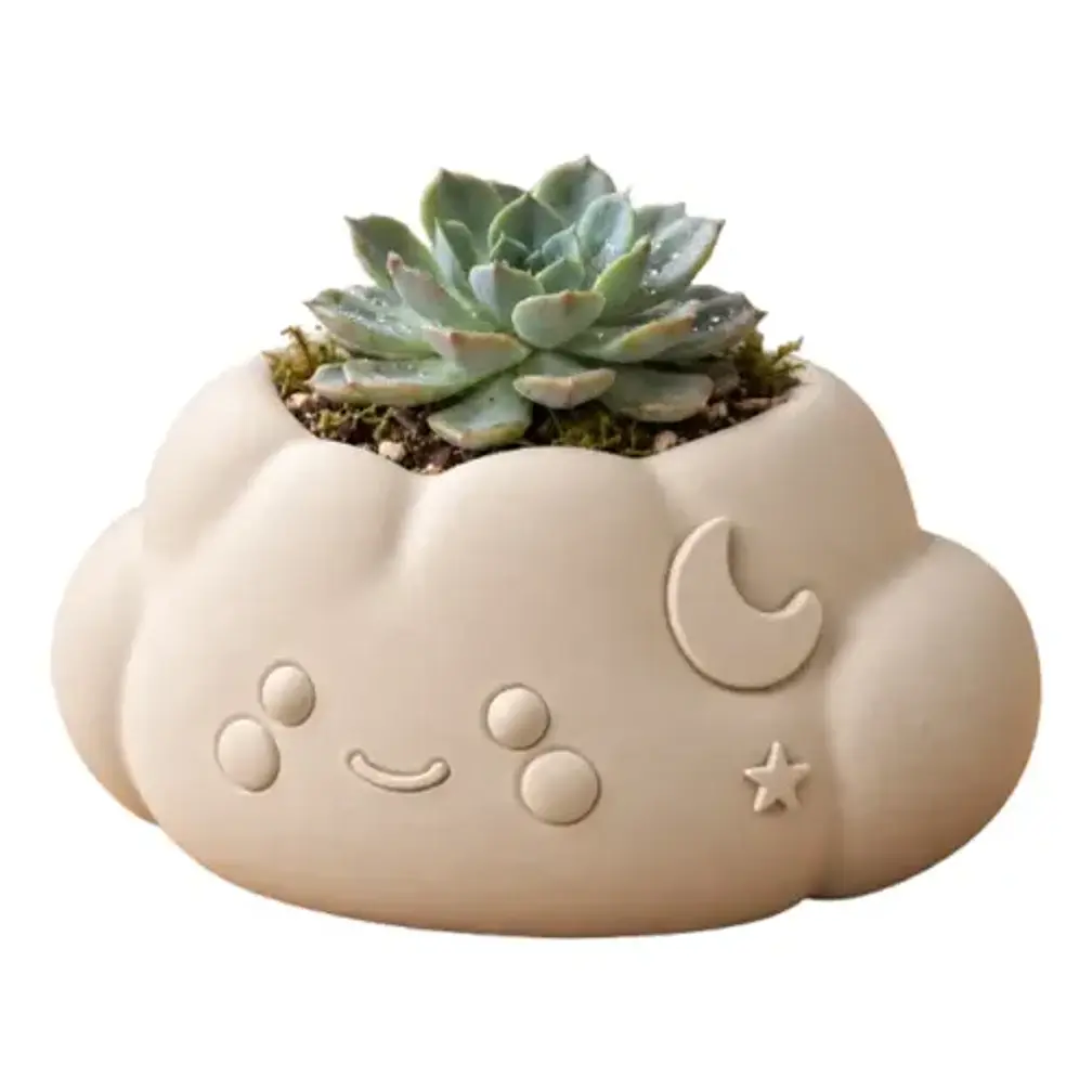 Macetero Decorativo Hogar- Forma Nube 10 Cm 1