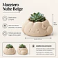 Macetero Decorativo Hogar- Forma Nube 10 Cm - Miniatura 2