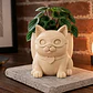 Macetero Decorativo Hogar- Gatito Héroe 15 Cm - Miniatura 4