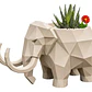 Macetero Decorativo Hogar- Forma Mamut 15 Cm - Miniatura 1