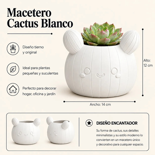 Macetero Decorativo Hogar- Forma Cactus 12 Cm - Foto 2